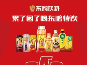 東鵬特飲客戶(hù)案例