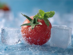 冷鏈云倉 解鎖新鮮供應鏈的秘密